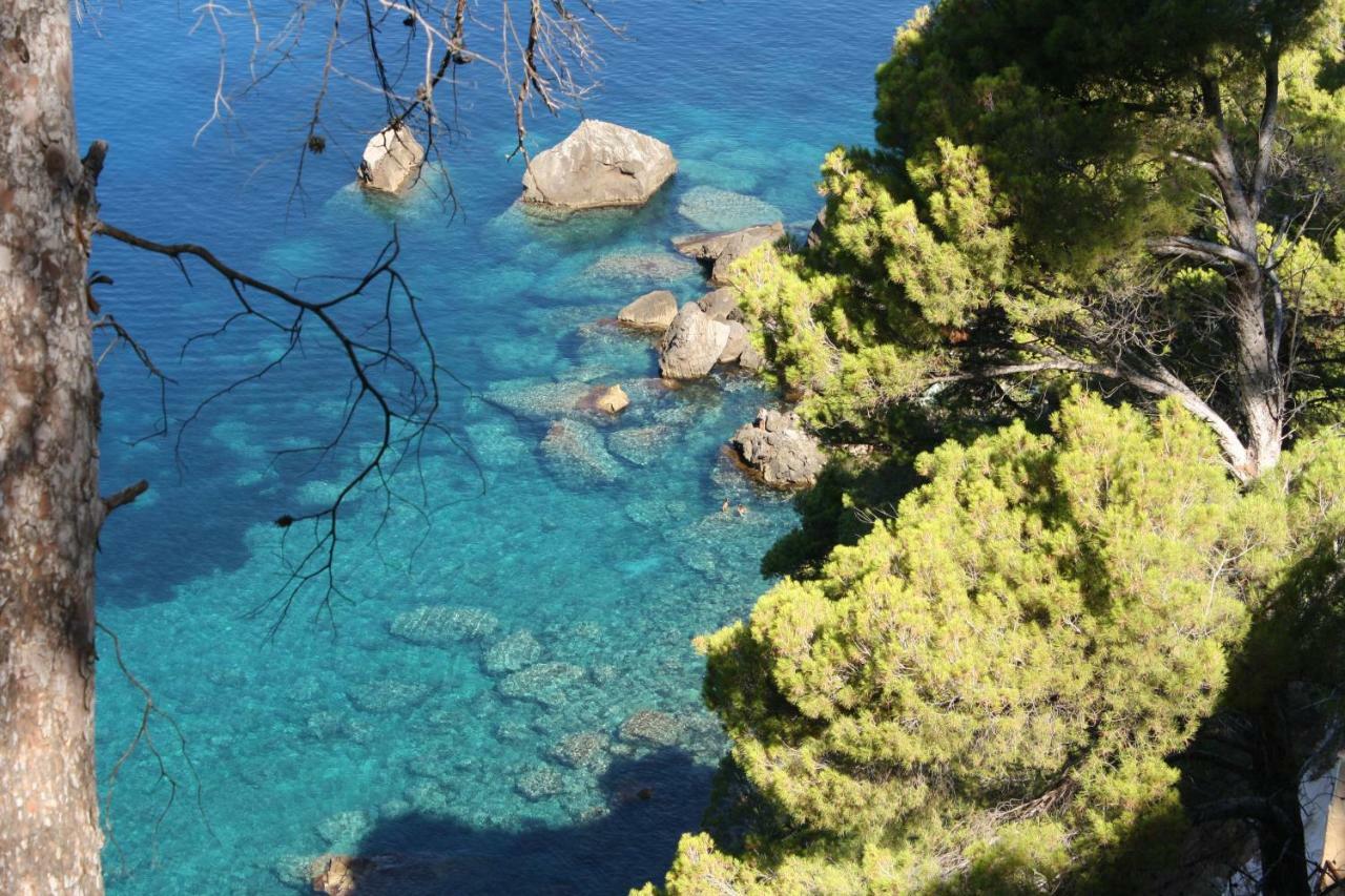 Son Riera Petit Paradis Баньяльбуфар Экстерьер фото